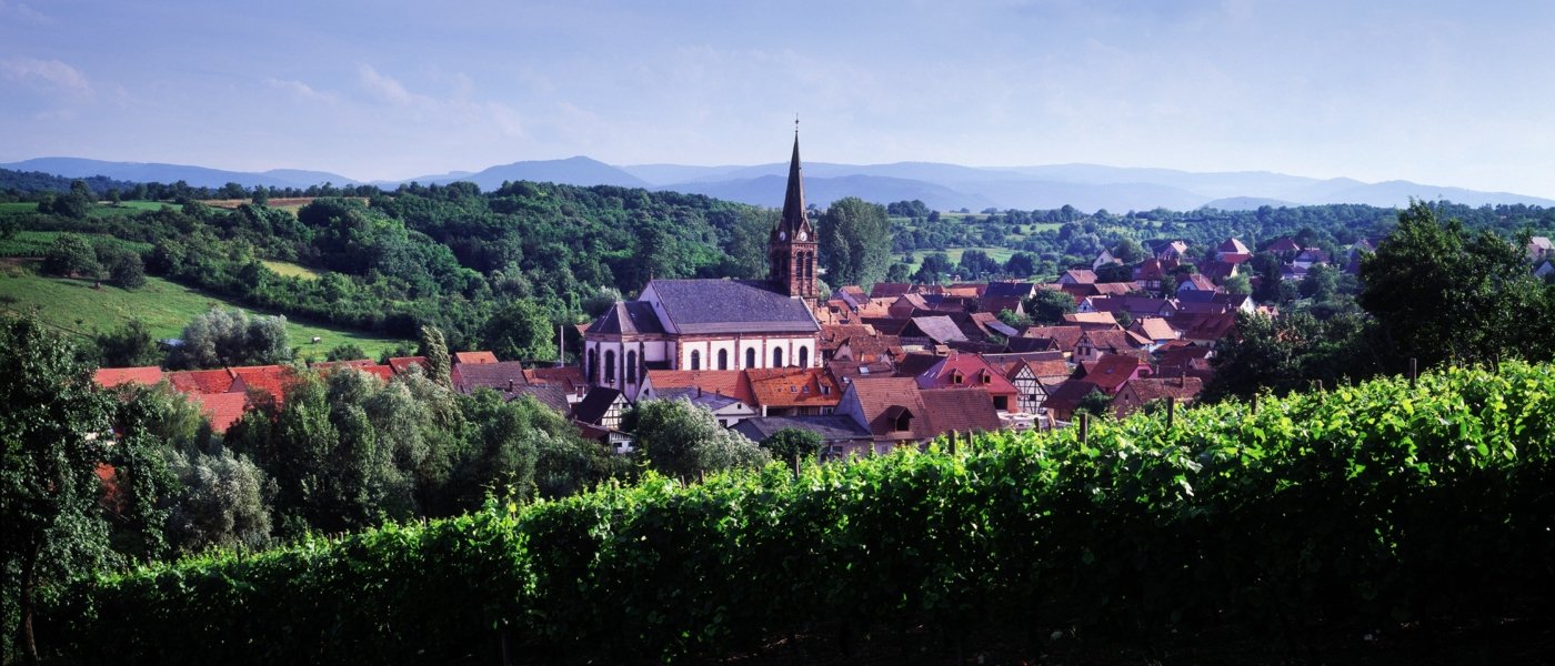 alsace wine tours - Wine Paths